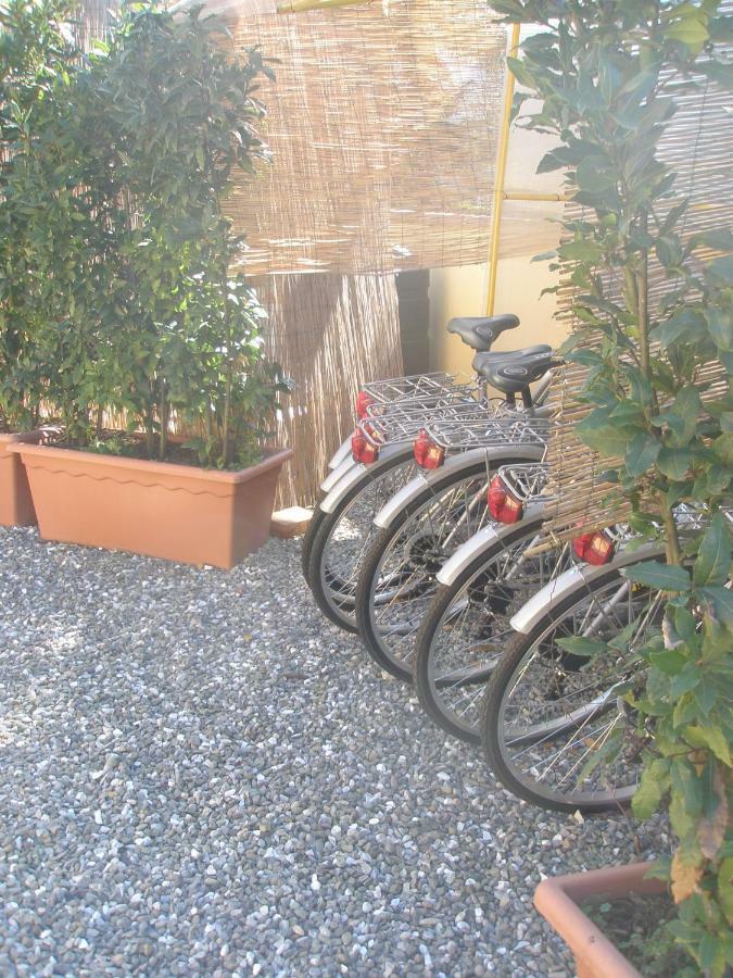 B&B La Rondine Tra Pisa E Lucca San Giuliano Terme Zewnętrze zdjęcie