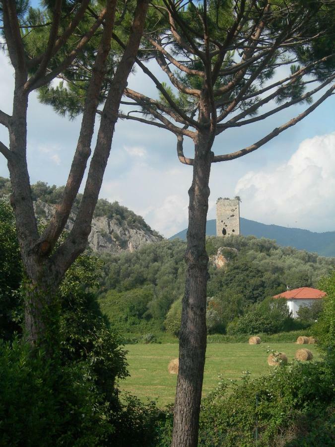 B&B La Rondine Tra Pisa E Lucca San Giuliano Terme Zewnętrze zdjęcie