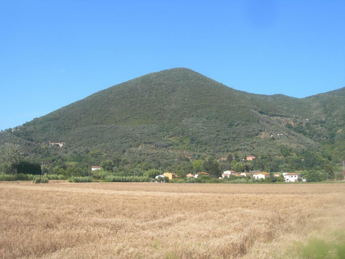 B&B La Rondine Tra Pisa E Lucca San Giuliano Terme Zewnętrze zdjęcie